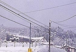 白鳥十郎墓碑