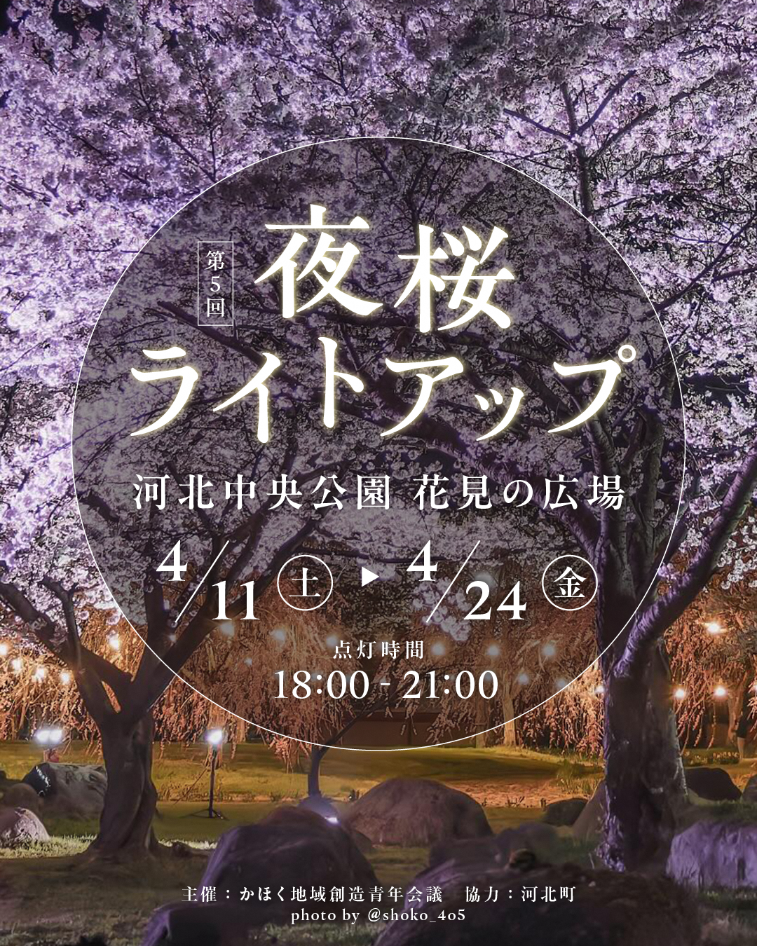 第5回 河北中央公園 夜桜ライトアップ