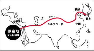 ナイル川流域の紅花の原産地の地図