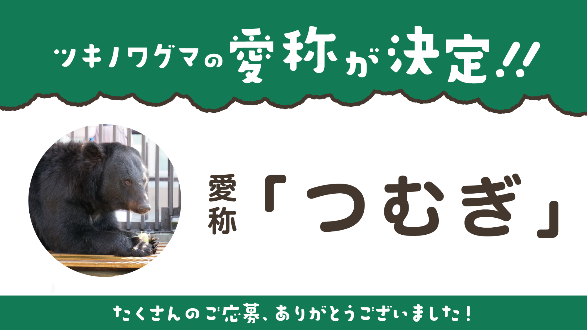 ツキノワグマの愛称が「つむぎ」に決定