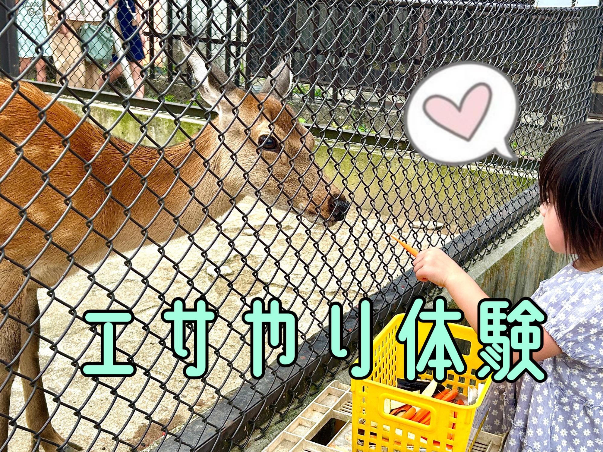 動物エサやり体験