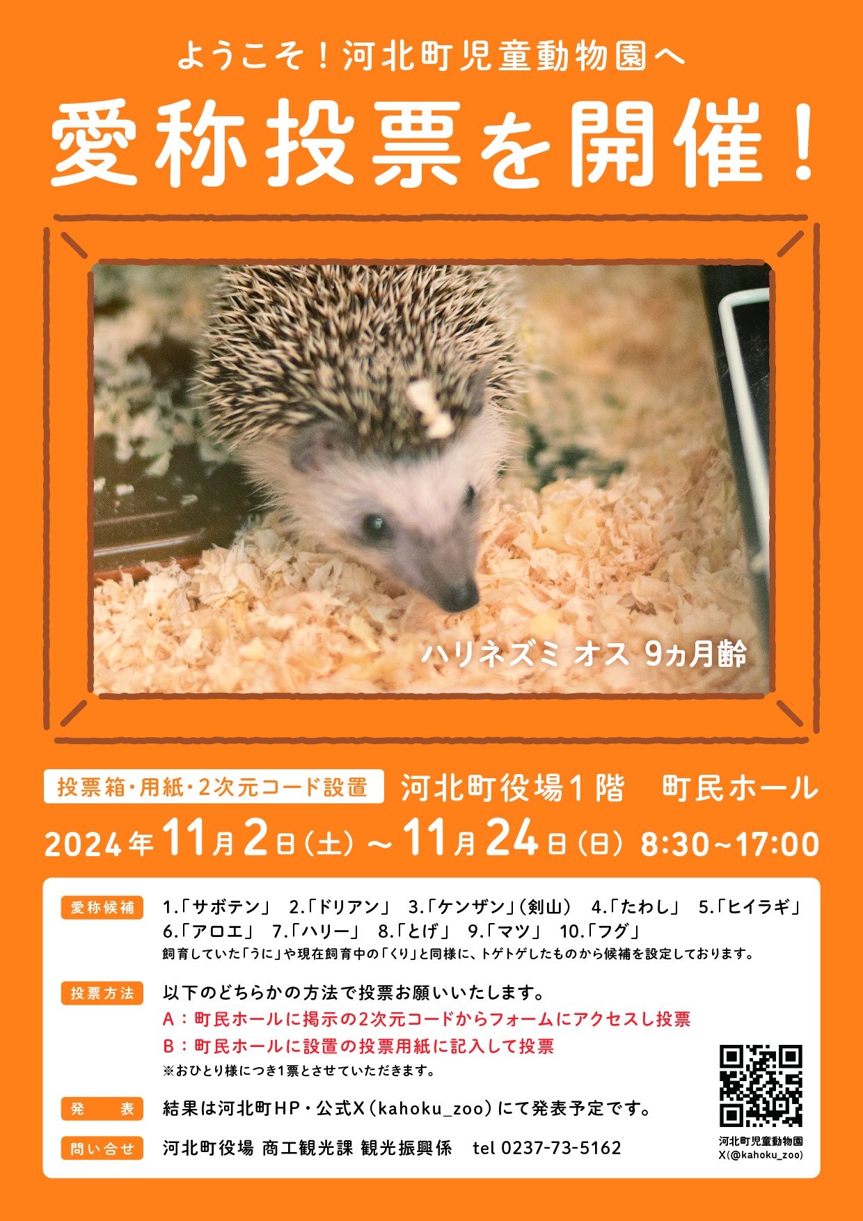 ハリネズミ愛称総選挙