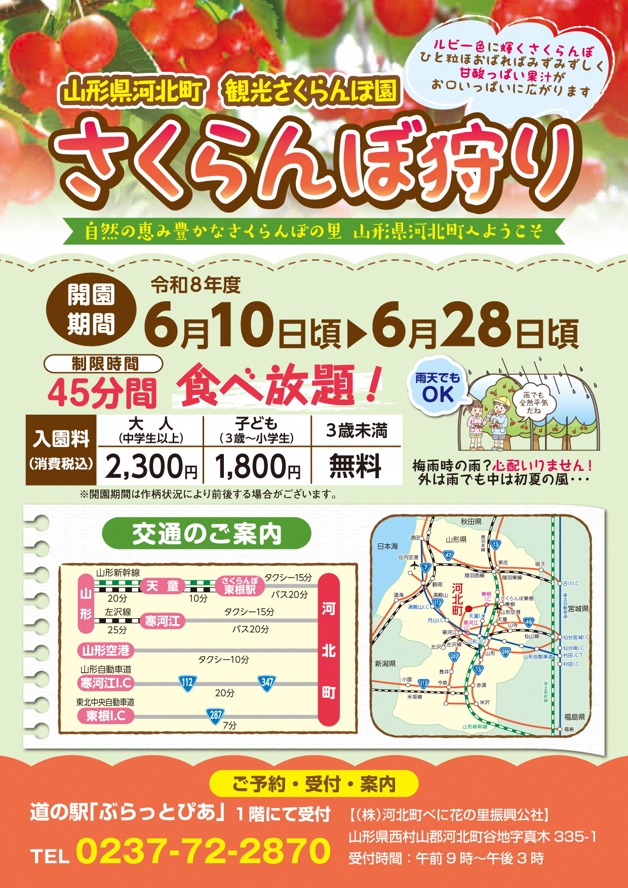 さくらんぼ狩り2026