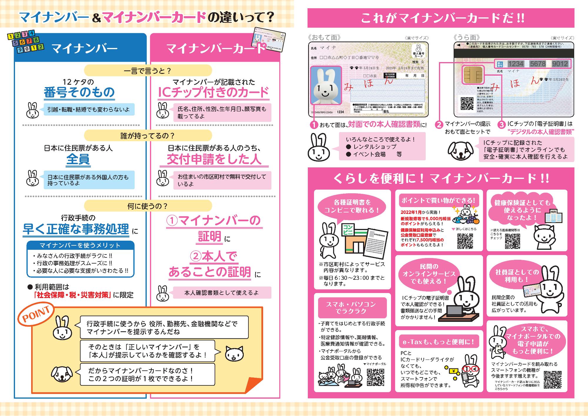 マイナンバーとマイナンバーカードの違い 裏面