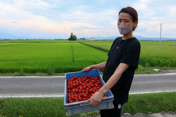 田んぼの沿道でトマトが入ったケースを持って笑顔で写っている女性の写真