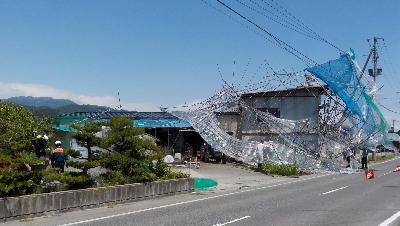 強風で飛ばされたパイプハウス