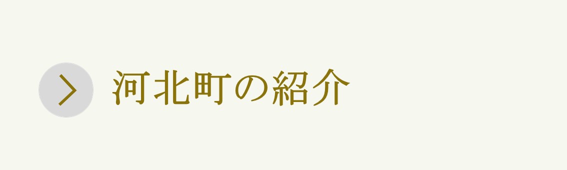 町の紹介ボタン