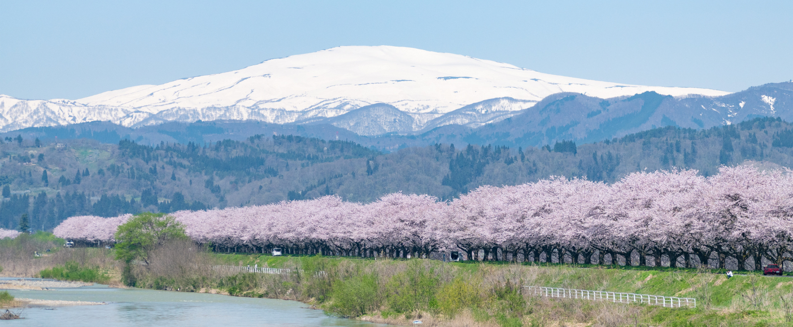 溝延桜堤と月山