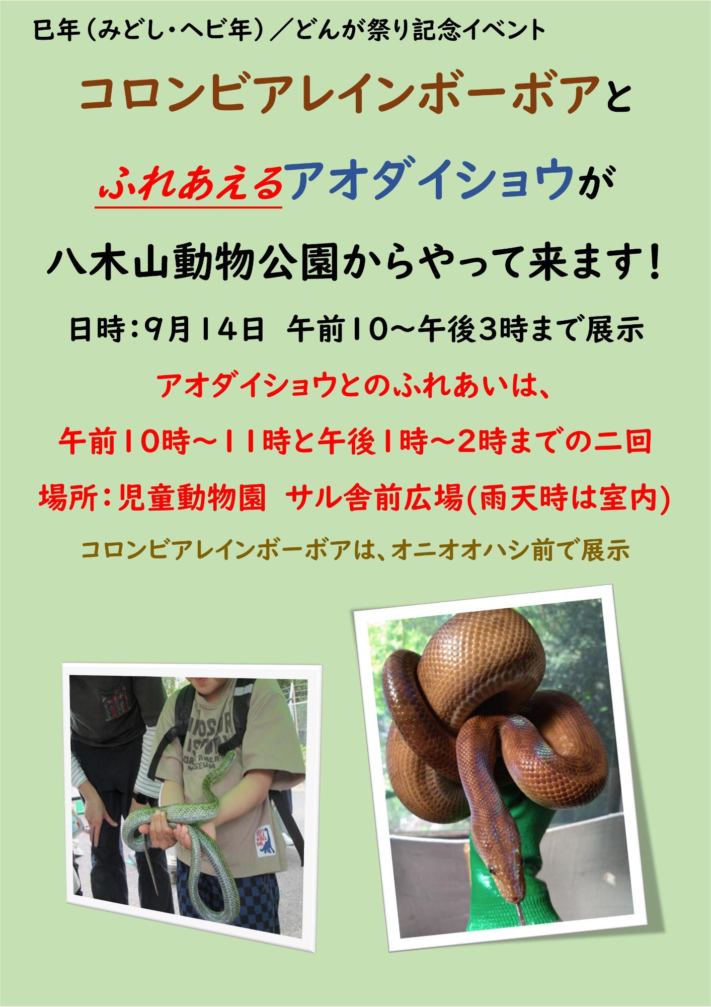 どんがまつり記念イベント_ヘビふれあい