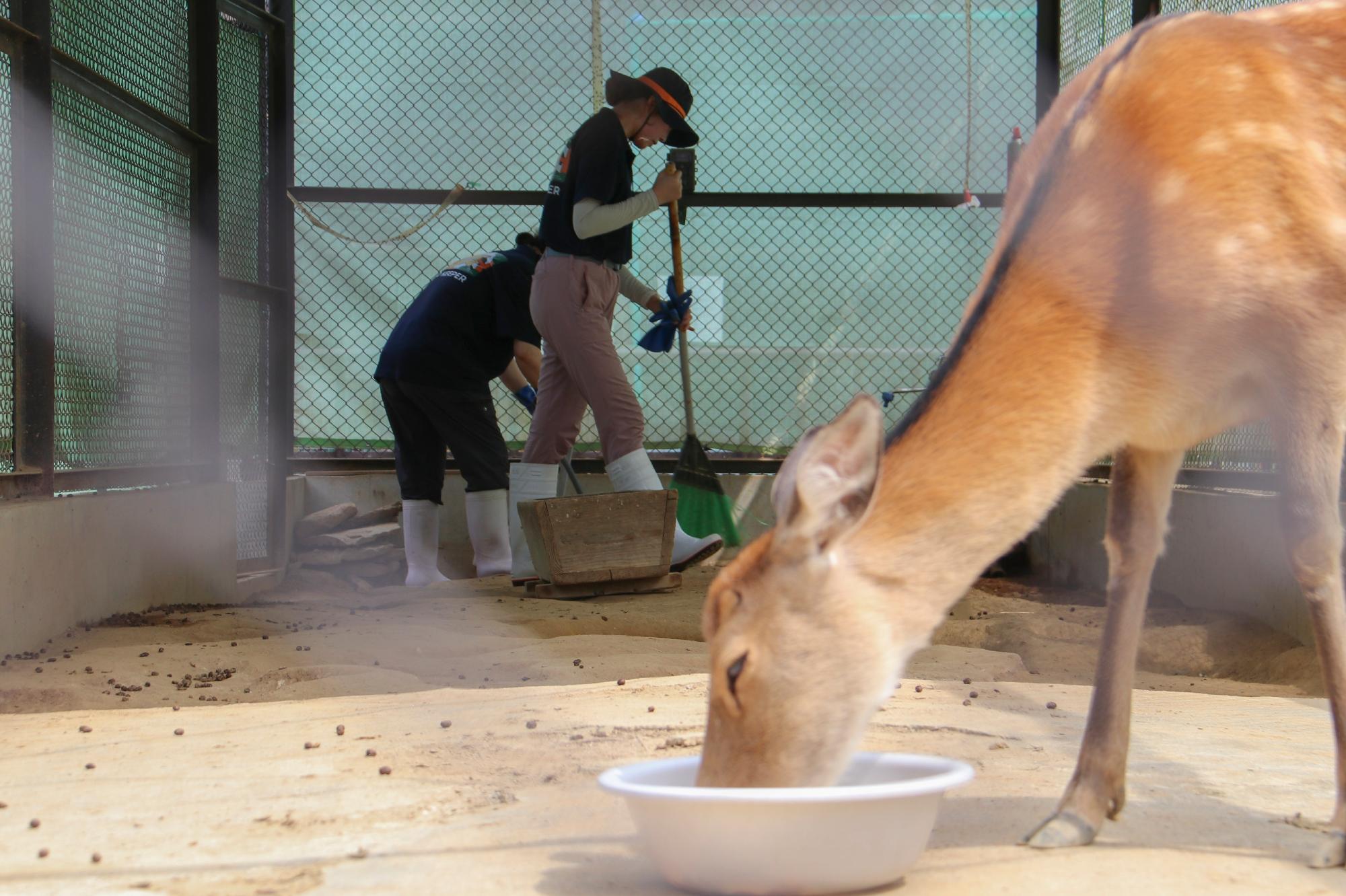 2026動物園クラファン画像
