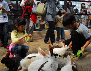 集まったウサギたちに子供たちが餌をあげている写真