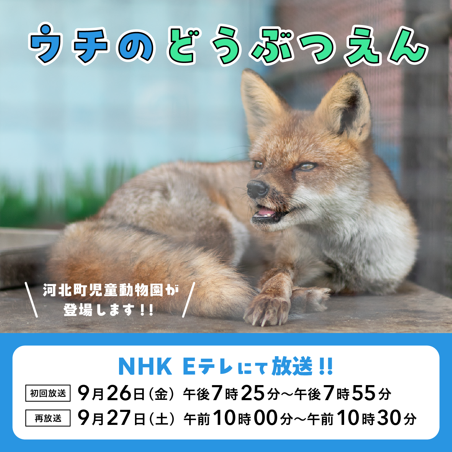 NHK「ウチのどうぶつえん」