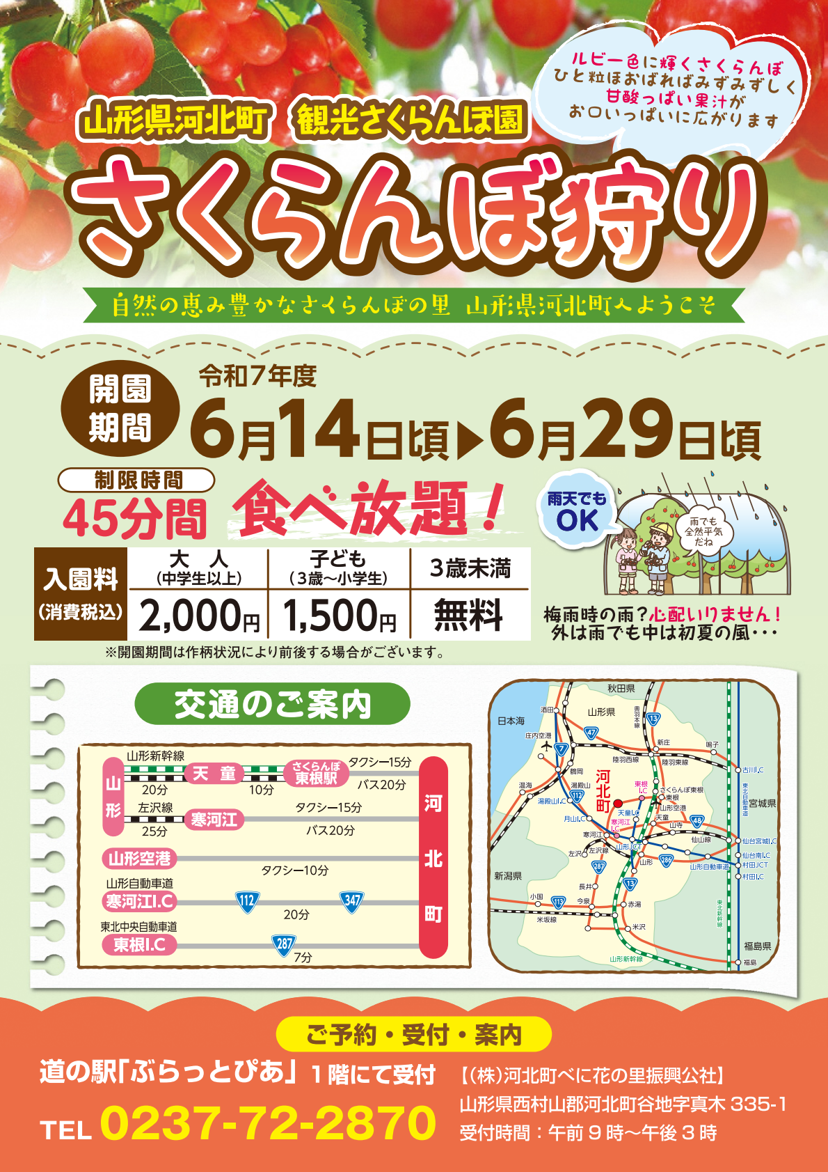 さくらんぼ狩り2025