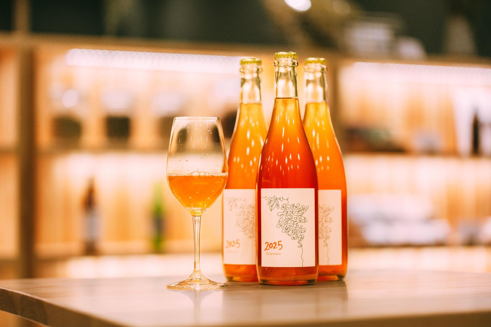 デラウェア 2025