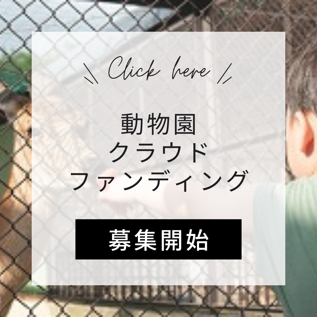 2025動物園クラウドファンディング