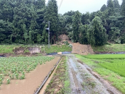 両側に畑がある畑道がぬかるんでいる写真