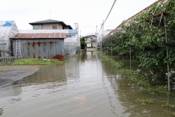 ハウスの前の道が地面が見えないほど浸水している写真