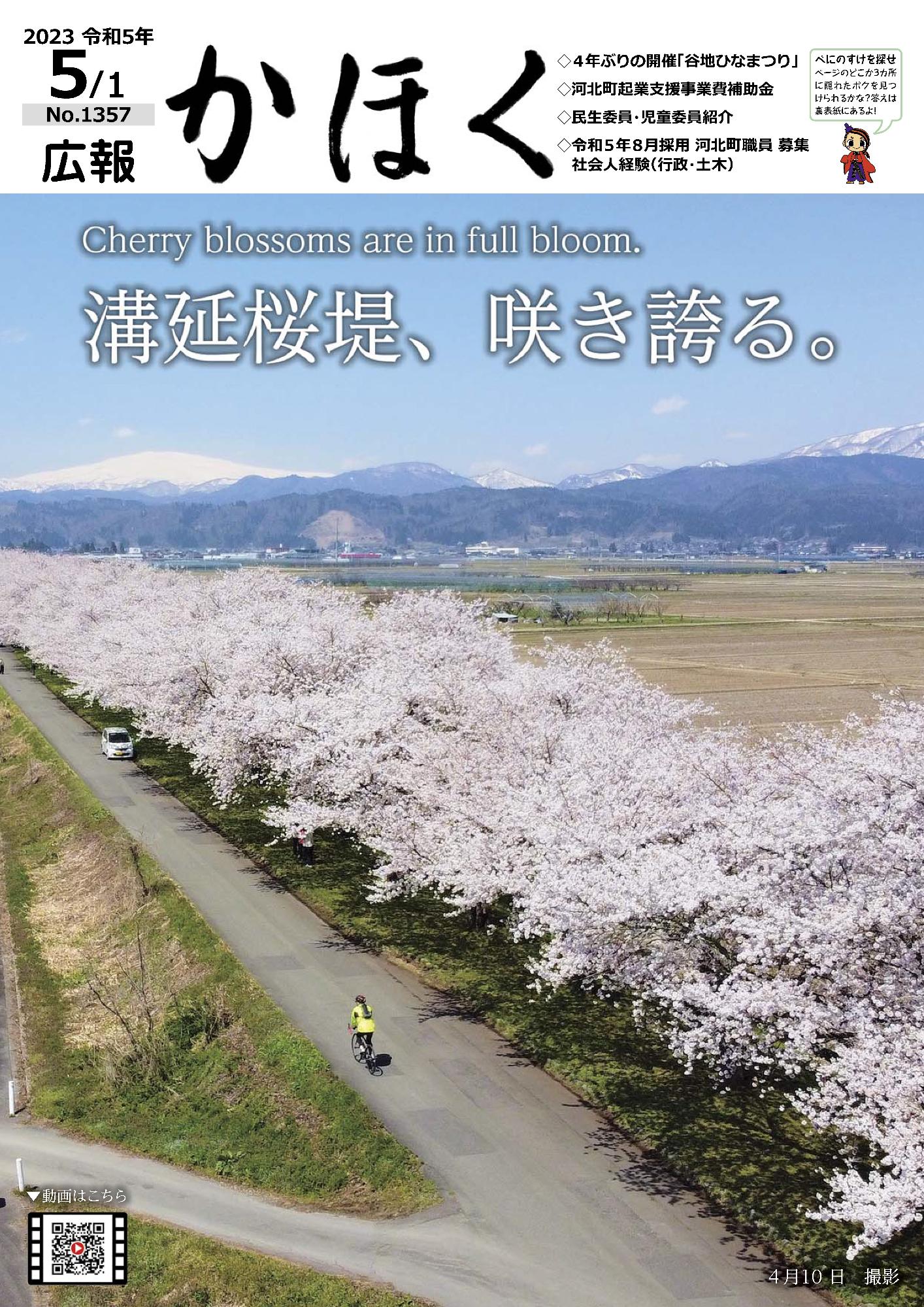 広報かほく令和5年5月1日号の表紙（溝部桜堤）画像