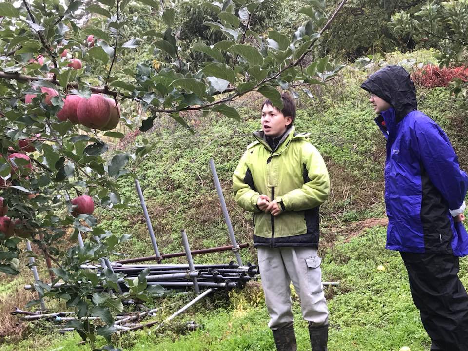 果樹園でジャンバーに長靴の男性からリンゴの説明を聞いている人の写真