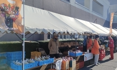 白い天幕の仮設テントの下で複数の人が様々な種類の果物を販売している写真