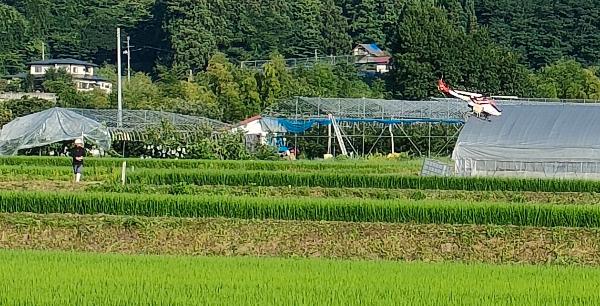 防除の風景