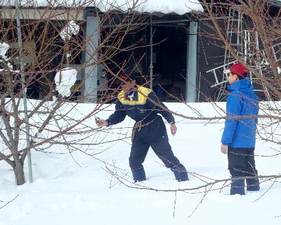 雪